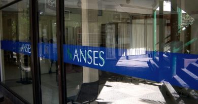 ANSES