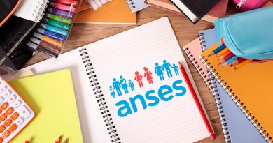 Ayuda Escolar Anual de ANSES