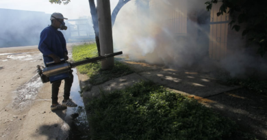 Tucumán acumula más de 29 mil casos y hubo otra muerte por dengue