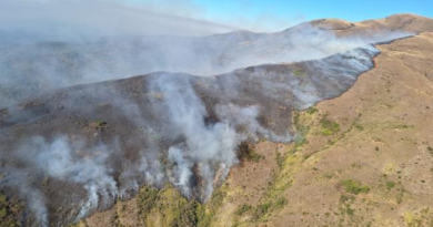 Hay riesgo de incendio extremo para este lunes en Tucumán