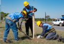 Limpian basurales y reforestan espacios públicos en el Barrio Villa Muñecas III