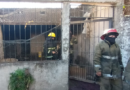 Menor fallece en un incendio en López y Planes al 500