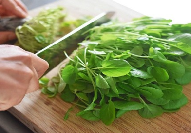 Esta es la verdura más saludable, que ayuda a todo el organismo y puede proteger del cáncer