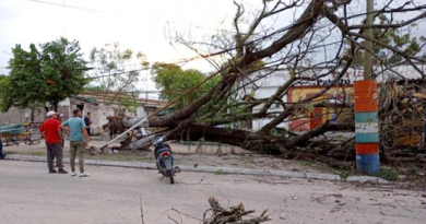 Tormentas: la mayor cantidad de agua cayó en Burruyacú