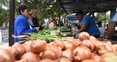 Estas son las principales ofertas del Mercado en tu Barrio para esta semana, del 5 al 9 de mayo