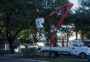 Avanzan los trabajos de paisajismo e iluminación en el Paseo de los Libertadores de América