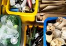 17 de Mayo: Día Mundial del Reciclaje