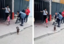 Cómo está el perrito de Aguilares que se hizo viral por un indignante motivo