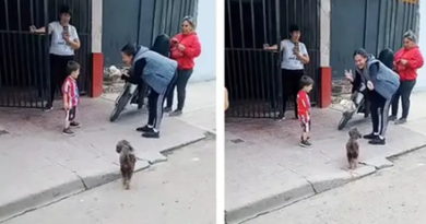 Cómo está el perrito de Aguilares que se hizo viral por un indignante motivo