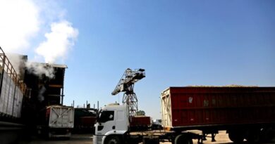 La zafra azucarera avanza con 16 ingenios en Argentina