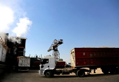 La zafra azucarera avanza con 16 ingenios en Argentina