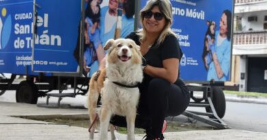 Dónde se brindará el servicio gratuito de castración para animales de compañía, del 9 al 13 de junio