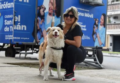 Dónde se brindará el servicio gratuito de castración para animales de compañía, del 9 al 13 de junio