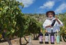 La Ruta del Vino de Altura de Tucumán presenta una imperdible agenda invernal