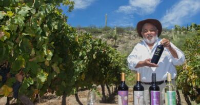 La Ruta del Vino de Altura de Tucumán presenta una imperdible agenda invernal