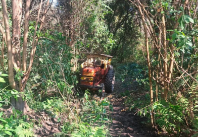 Accidente fatal en Acheral: un hombre pierde la vida bajo un tractor